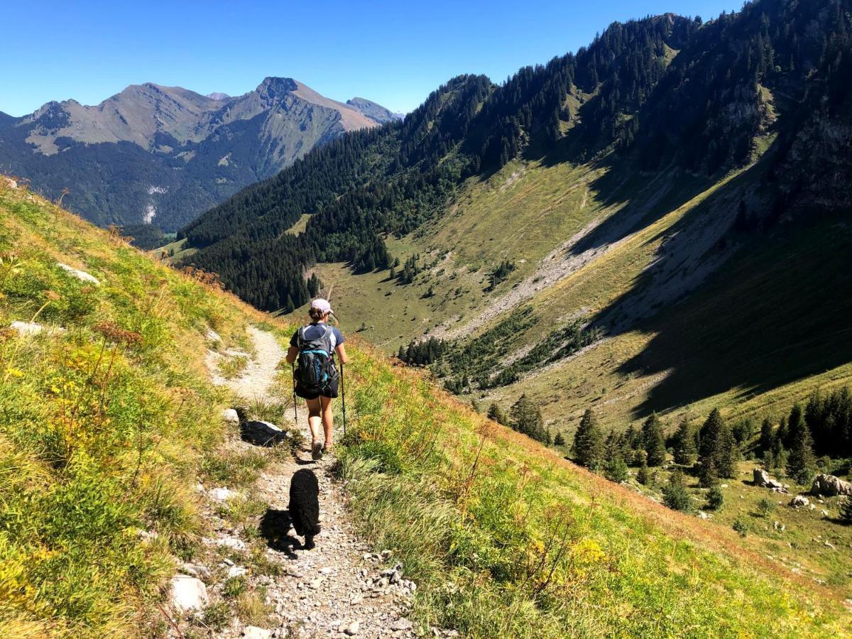'Petite Ferme Les Bouts' Apartment, Sleeps 6, Nr Morzine La Cote d'Arbroz Dış mekan fotoğraf