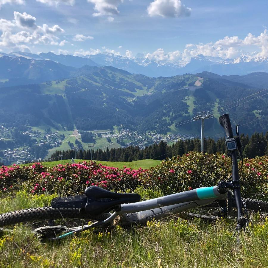 'Petite Ferme Les Bouts' Apartment, Sleeps 6, Nr Morzine La Cote d'Arbroz Dış mekan fotoğraf
